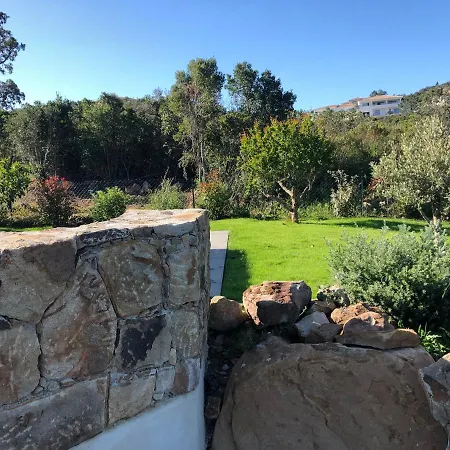 Machja